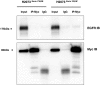 Supplementary Figure S5