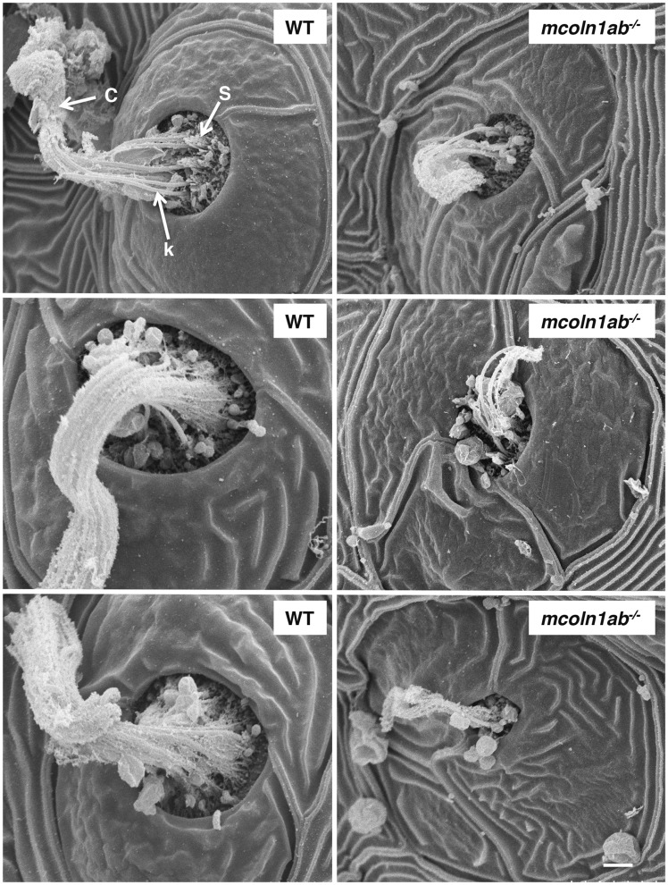 Figure 10