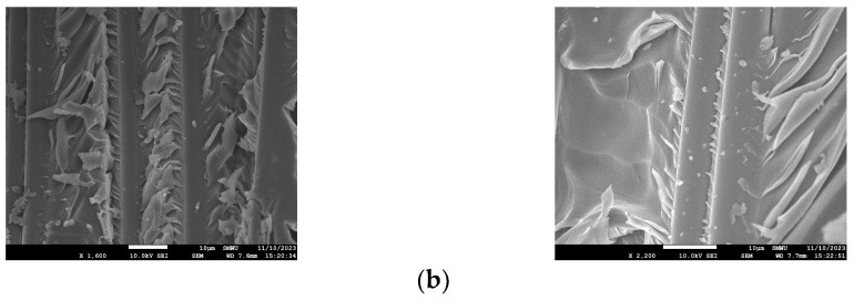 Figure 18