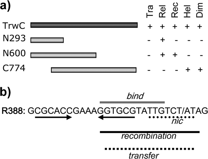 FIG. 1.