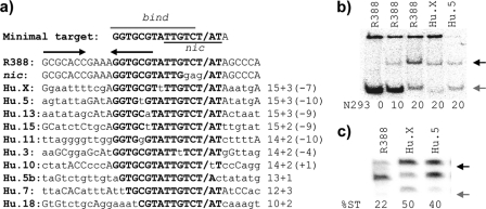 FIG. 2.