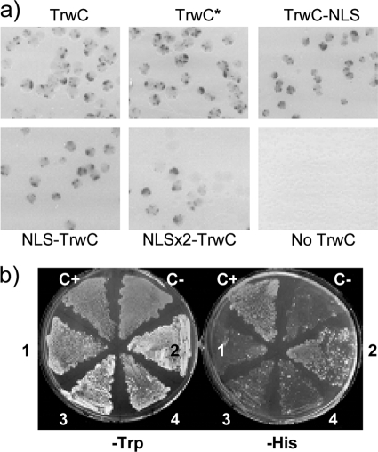 FIG. 6.