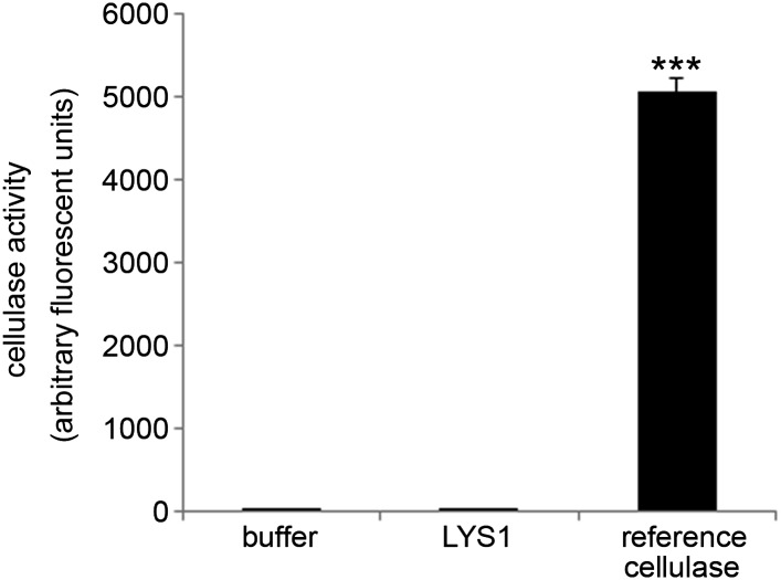 Figure 4—figure supplement 2.