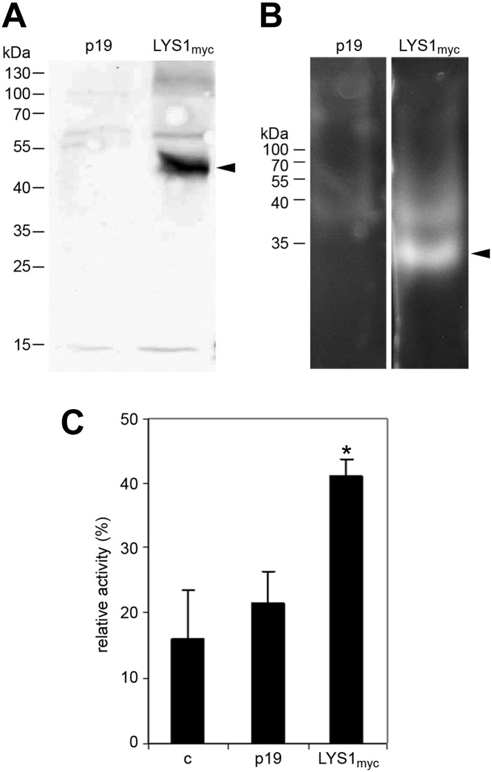 Figure 5.