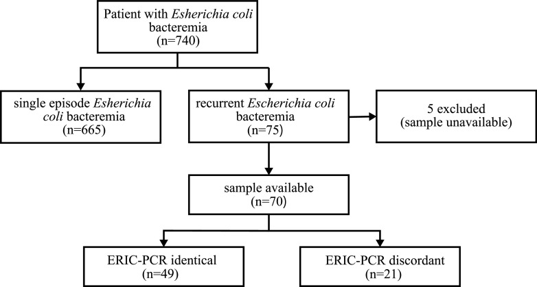 FIG 1