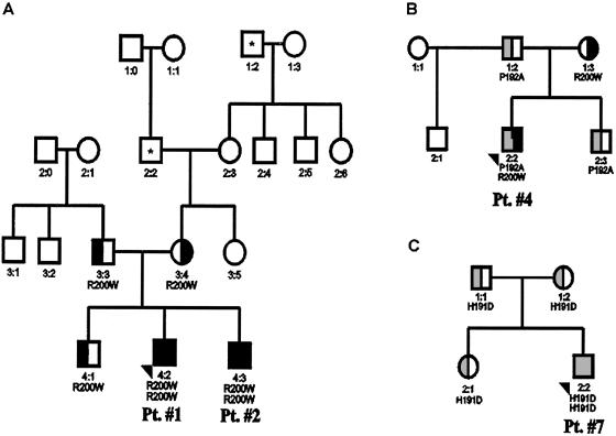 Figure  2