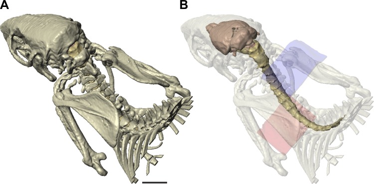 Fig. 1.