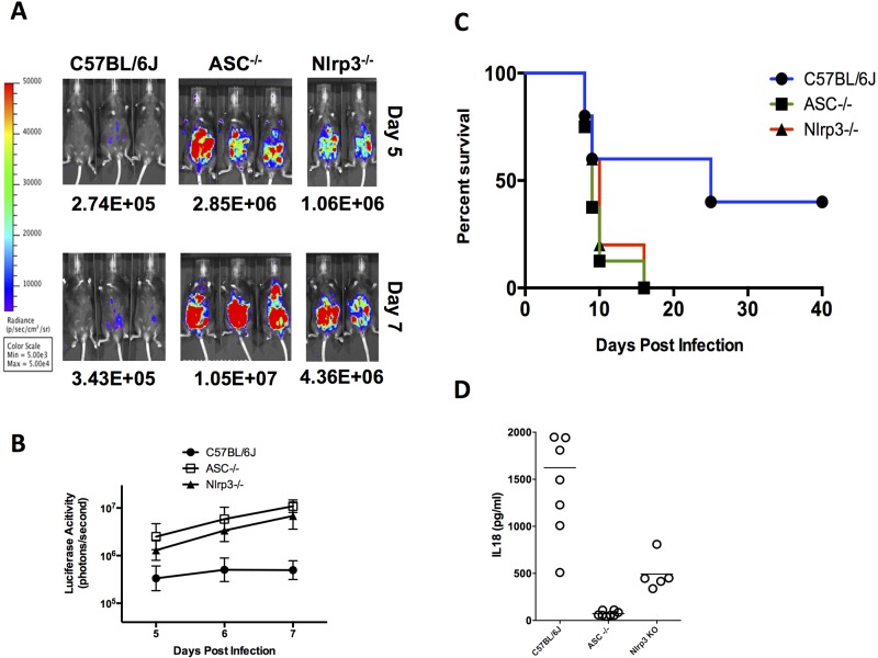 FIG 3 