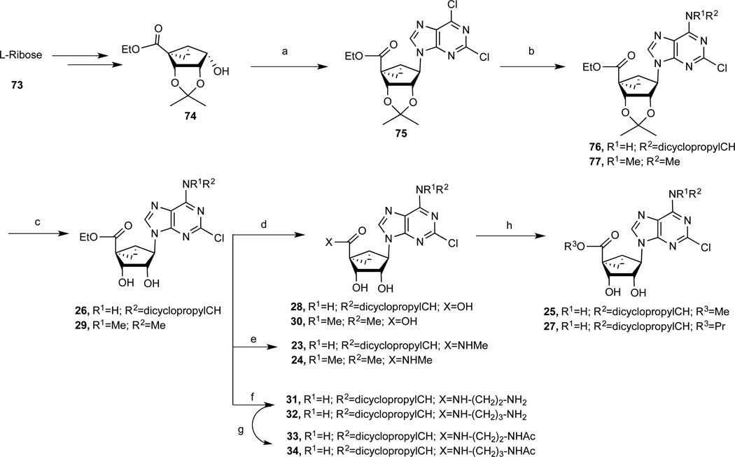 Scheme 2