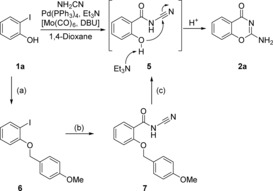 Scheme 4