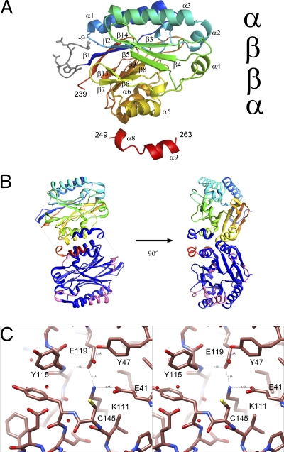 Fig. 4.