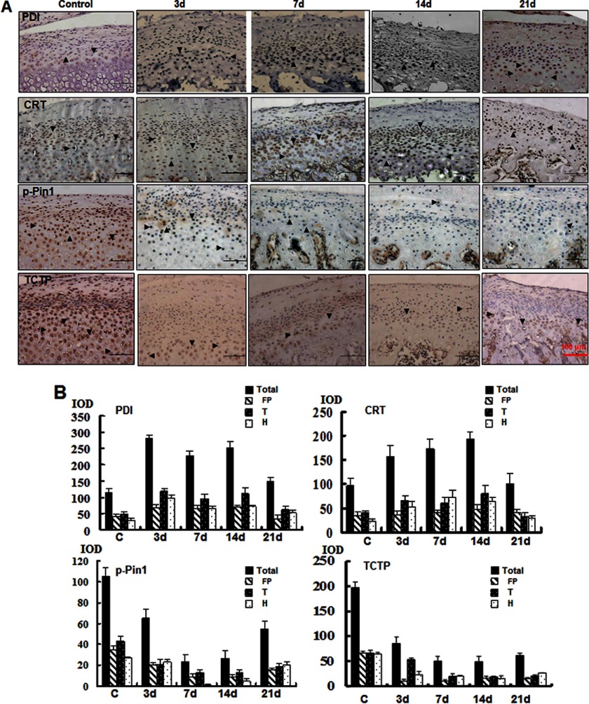 FIGURE 4.