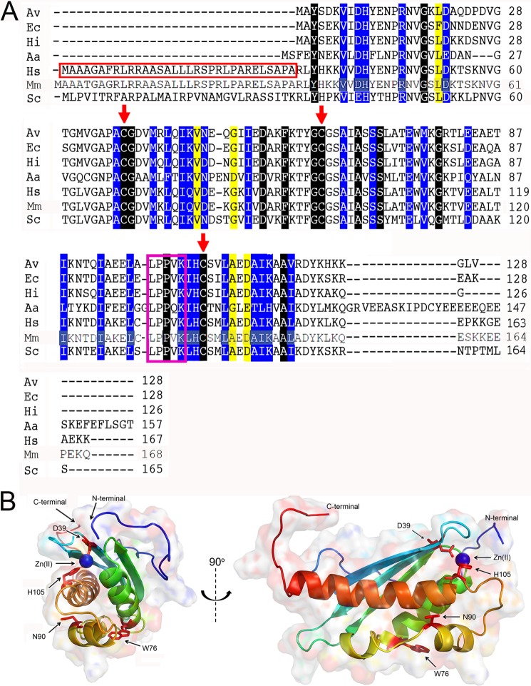 FIGURE 1.