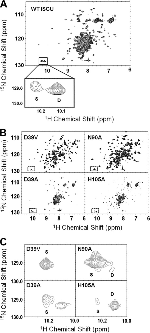 FIGURE 2.