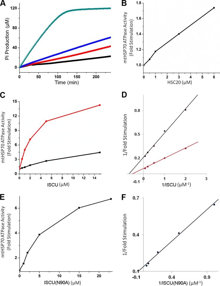 FIGURE 11.