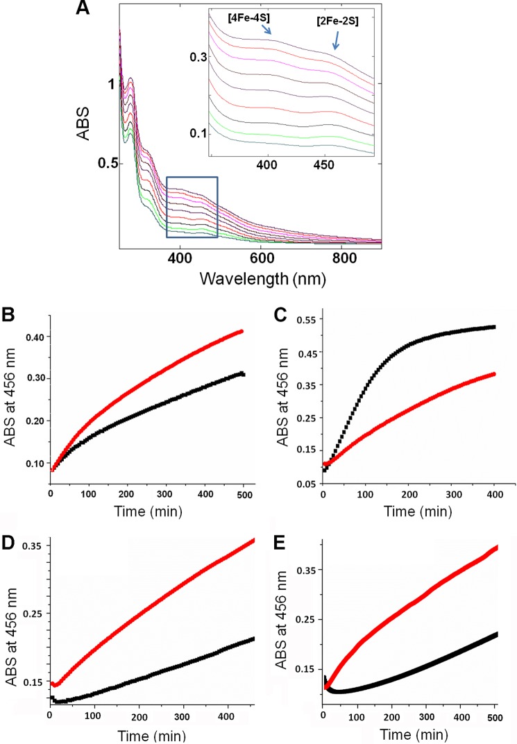 FIGURE 10.