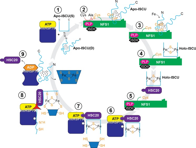 FIGURE 12.