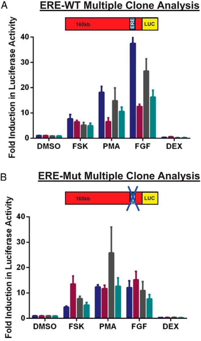 Figure 6.