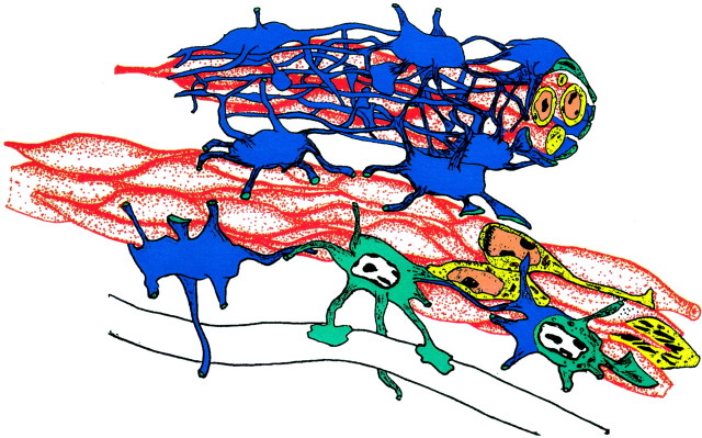 Fig. 2.