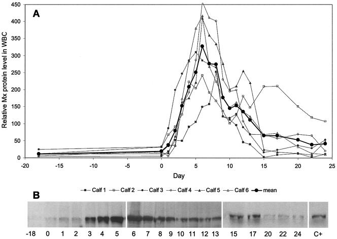 FIG. 6.