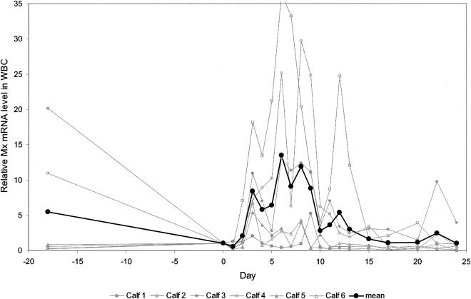 FIG. 5.