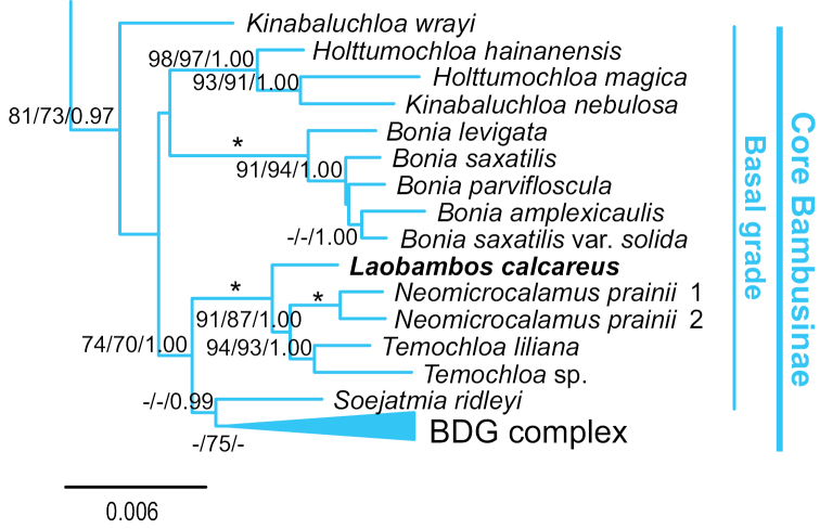 Figure 5.