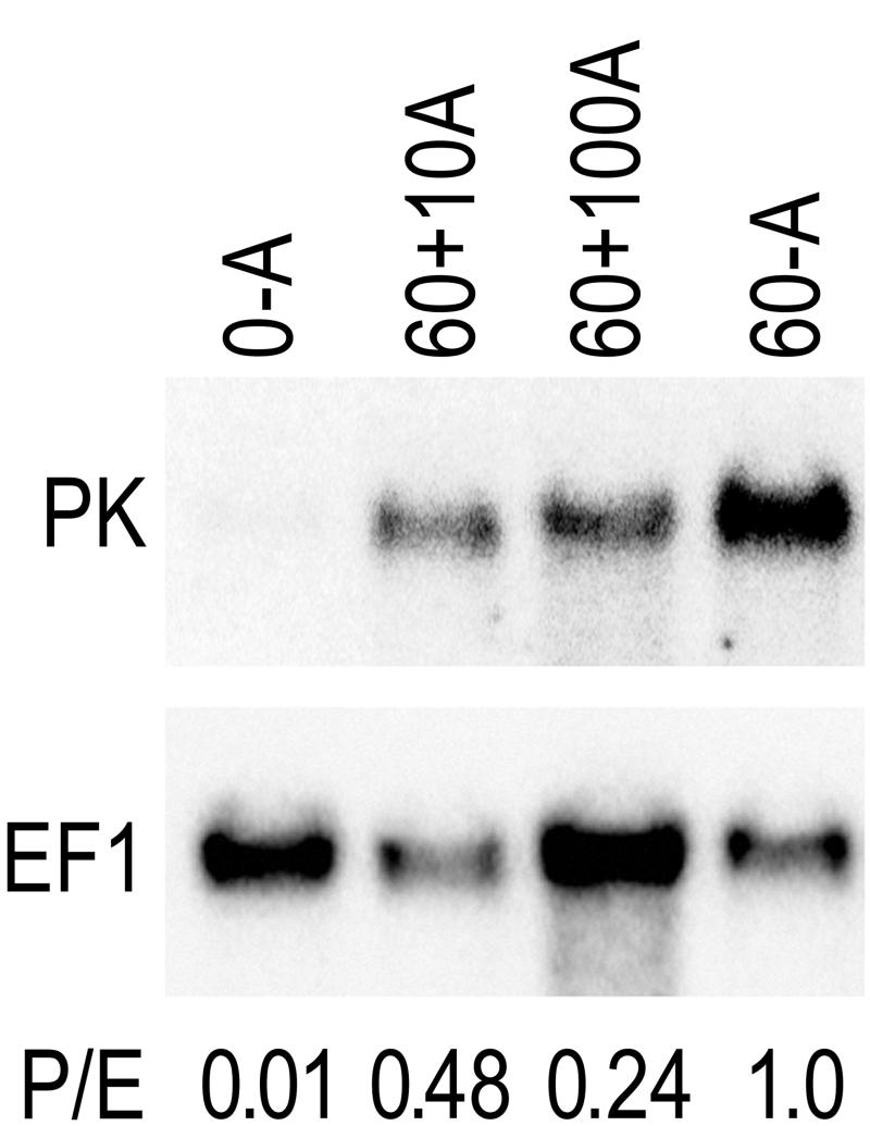 FIG. 5.