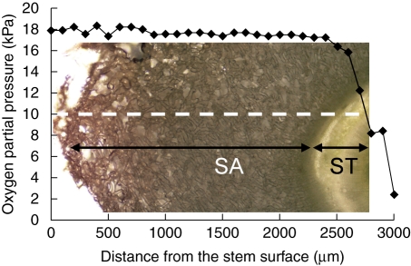 Fig. 3.