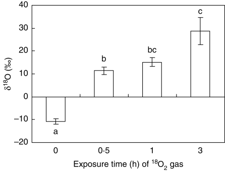 Fig. 6.