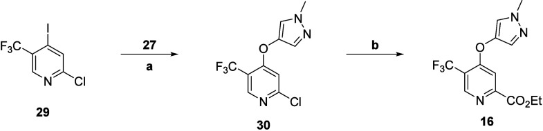 Scheme 3