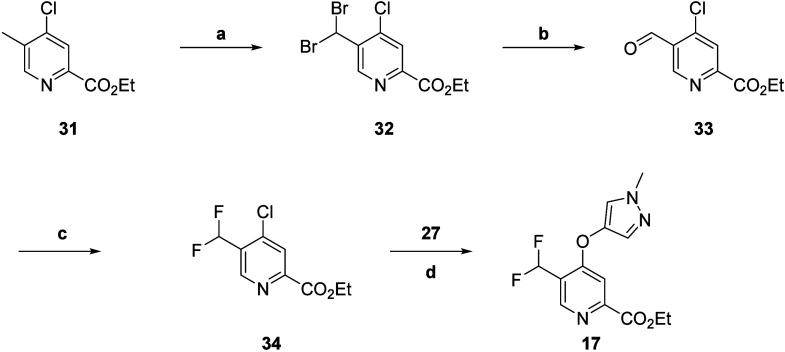 Scheme 4