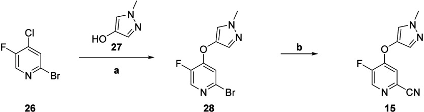 Scheme 2