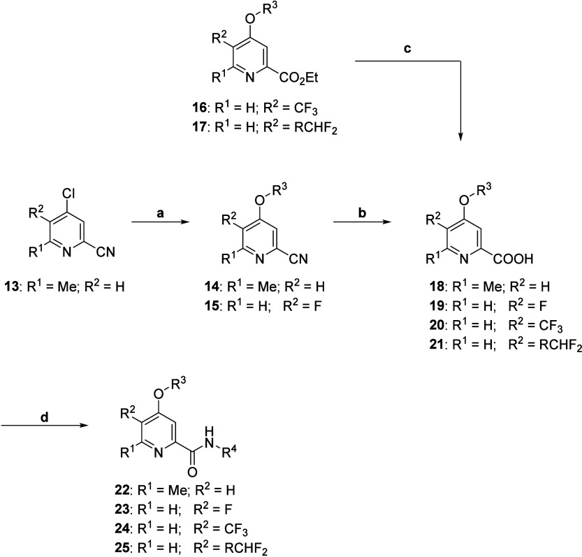 Scheme 1