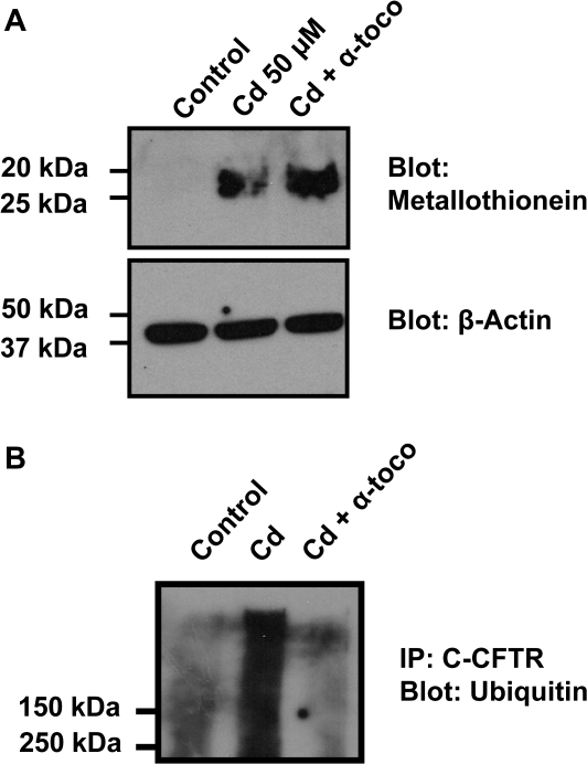 FIG. 10.