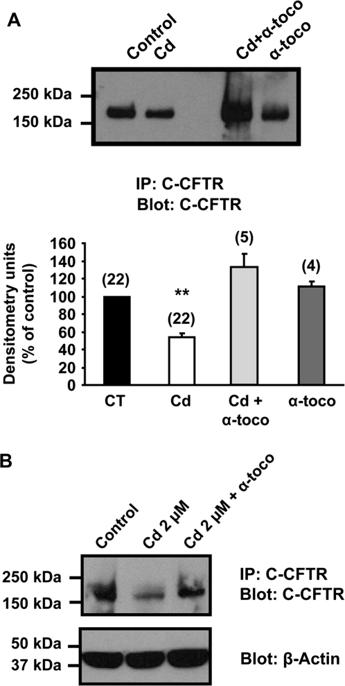 FIG. 8.