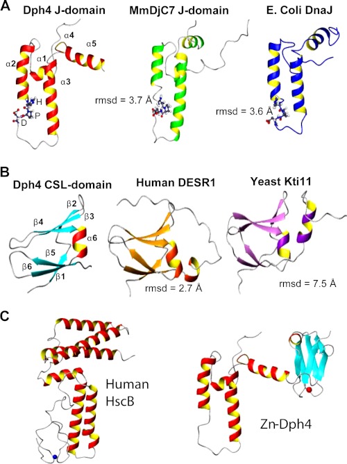 FIGURE 5.