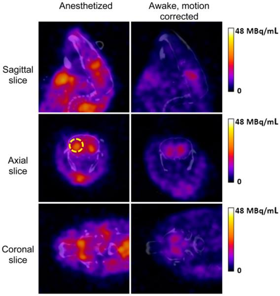 FIGURE 4