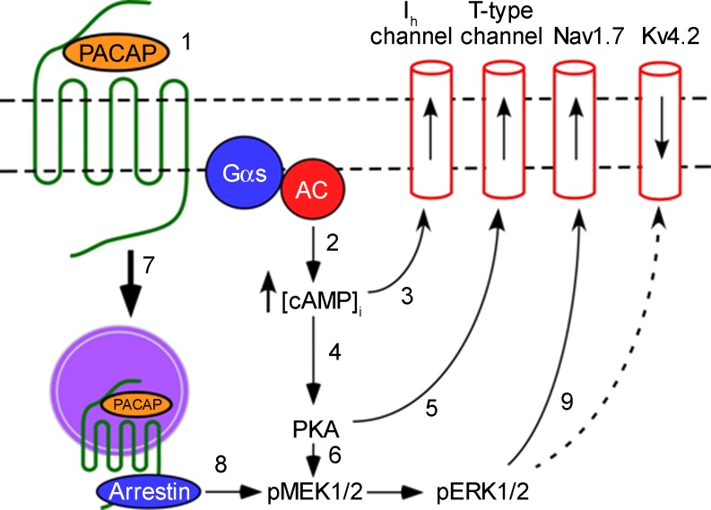 Fig. 6.