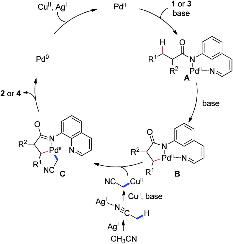 Scheme 3