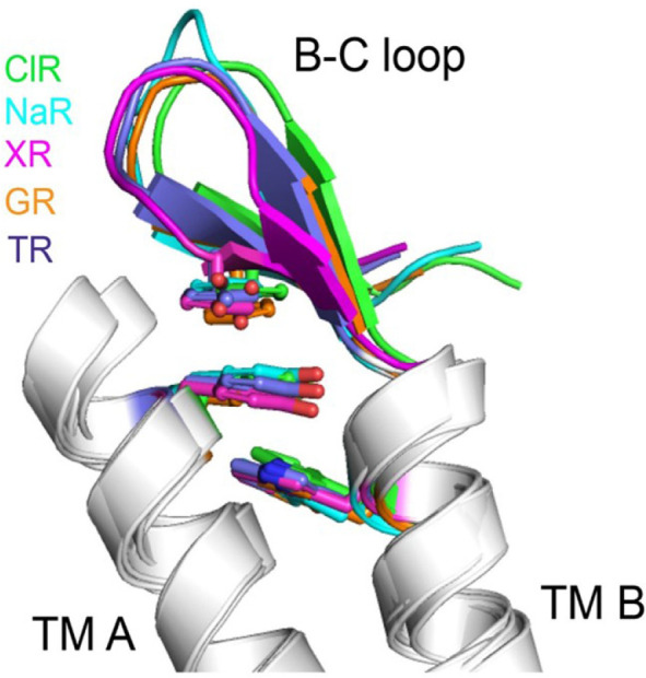 Fig. 3