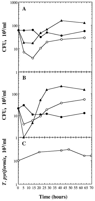 FIG. 7