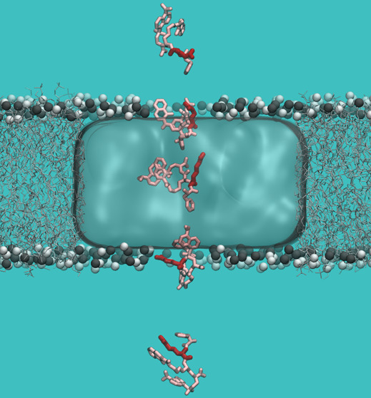 graphic file with name bc3c00561_0005.jpg