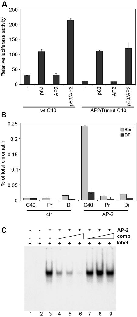 FIG. 7.