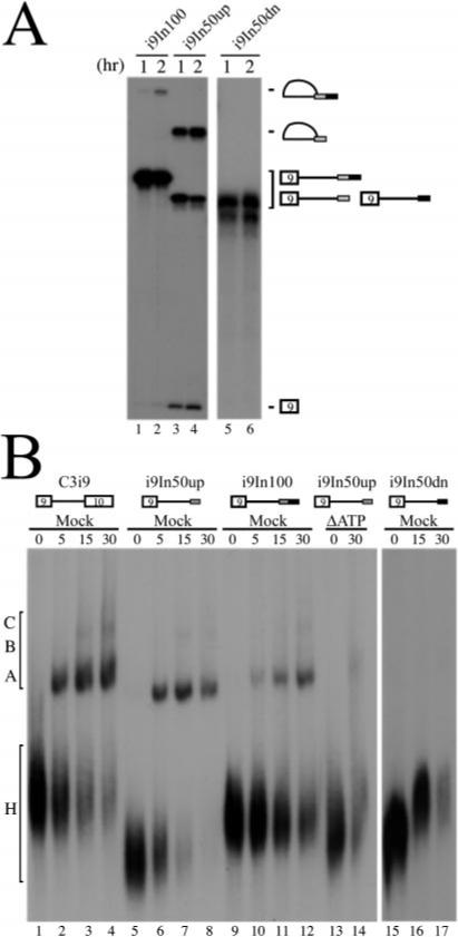 Fig.6