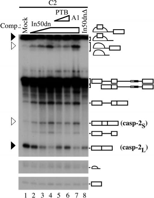 Fig.3