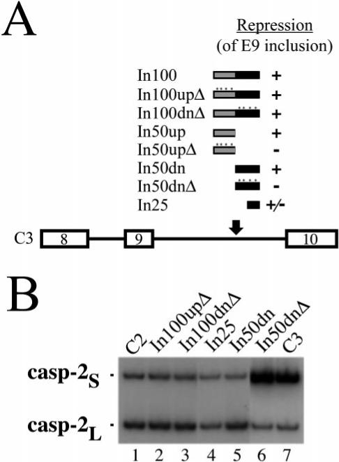 Fig.4