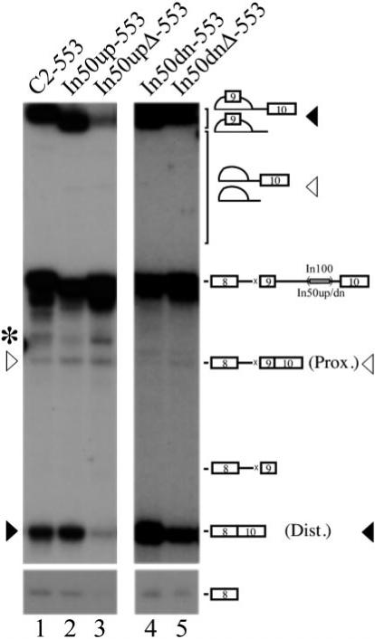 Fig.5