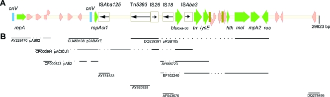 FIG. 2.