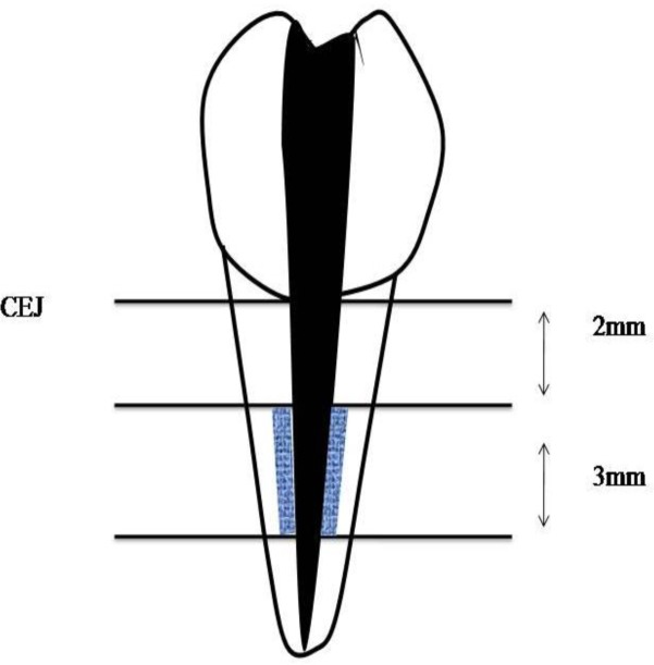 Fig 1.