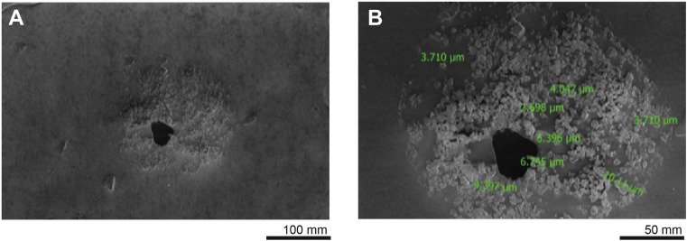 Figure 4